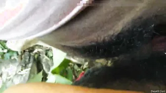 Odia GF Having Outdoor Sex With Her Boyfriend In Village