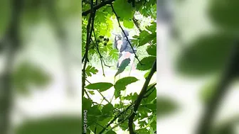 Desi Lovers Fucking Standing Up Outdoors Away From Everyone