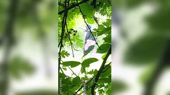 Desi Lovers Fucking Standing Up Outdoors Away From Everyone