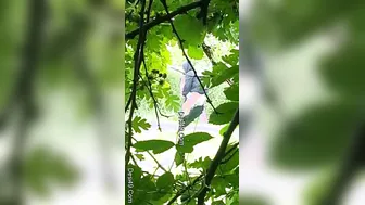 Desi Lovers Fucking Standing Up Outdoors Away From Everyone