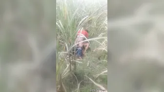 Needy Married Woman Getting Destroyed By Younger Neighborhood Guy