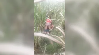 Needy Married Woman Getting Destroyed By Younger Neighborhood Guy