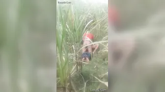 Needy Married Woman Getting Destroyed By Younger Neighborhood Guy