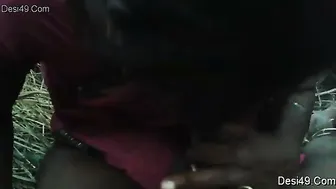 Bhabhi Sucking Stranger Outdoors Then Riding Him In Public Spot