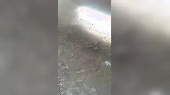 Village Couple Fucking Outdoors Gets Caught By Locals Watching