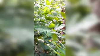 Desi Couple Getting Filmed Outdoors By His Friend Watching Us