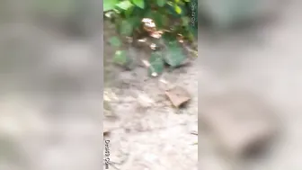 Desi Couple Getting Filmed Outdoors By His Friend Watching Us