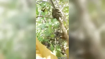 Village Lovers Making Out While He Films Her Dripping Wet Pussy