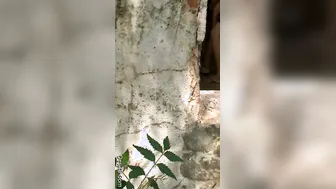 Young Guy Pounding Slutty Bhabhi From Behind In Doggy Style