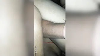 Backseat Fucking Session With Horny GF In Parked Car
