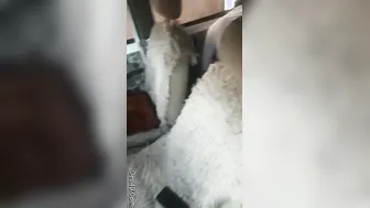 Bhabhi Getting Fucked Raw Inside Parked Bolero Late At Night