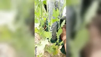 Village Slut Getting Railed Outdoors Behind The Old Farmhouse