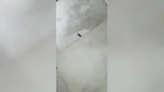 Kerala Bhabhi Screaming While Getting Fucked Hard On The Bed