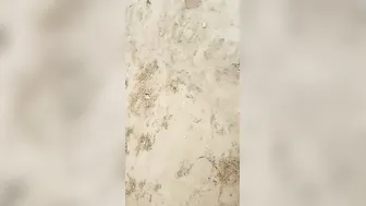 Village Slut Caught Having Sex With Customer By Local People
