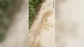 Village Slut Caught Having Sex With Customer By Local People