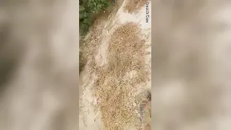 Village Slut Caught Having Sex With Customer By Local People