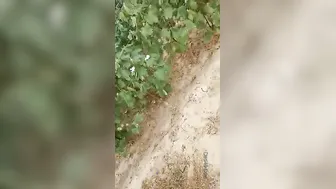 Village Slut Caught Having Sex With Customer By Local People