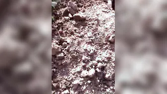 Village Couple Caught Fucking Intensely In Hidden Outdoor Spot