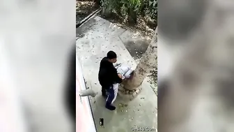 College Babe Getting Pounded Outdoors Behind Campus Buildings