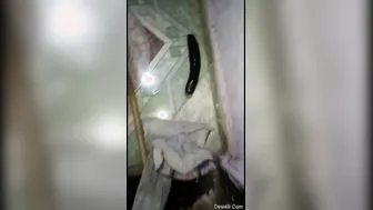 Horny Married Woman Giving Me A Sloppy Blowjob In Her House