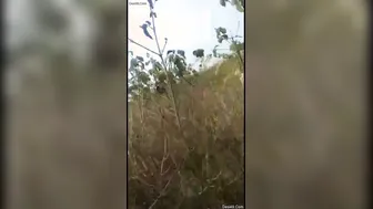 Sexy Randi Aunty Getting Drilled In Jungle Outdoor Hidden Spot