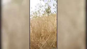 Sexy Randi Aunty Getting Drilled In Jungle Outdoor Hidden Spot