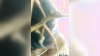 Village GF Getting Pounded Hard Outdoors Behind The Farm