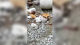 Mature Desi Woman Getting Banged Outdoors In The Countryside