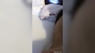 College GF Fucking Her Boyfriend In Cheap Hotel Room