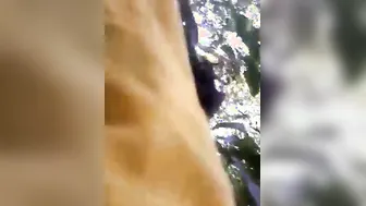 Sexy Couple Getting It On Outdoors Fucking Under The Open Sky