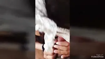 Dirty Talking Babe Giving Head And Fucking In Audio Session