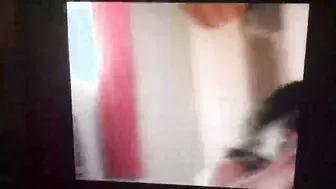 My Beautiful Wife Sucking Me Dry Before Heading To Work Morning