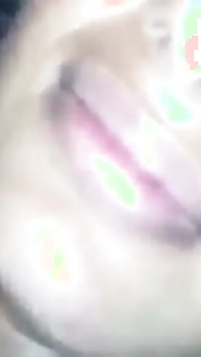 Punjabi GF Moaning Loud While Getting Fucked From Behind
