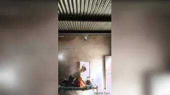 Village Lovers Sneaking Away For Passionate Outdoor Fuck Session