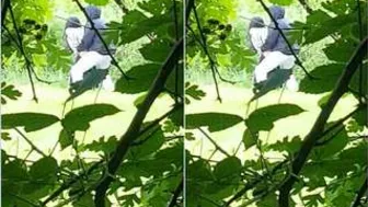 Desi Lovers Fucking Standing Up Behind The Building After Dark