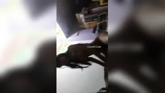 Riding His Dick Hard GF Bouncing On Top Homemade Video