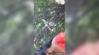 GF Sucking And Getting Her Tits Grabbed In The Park