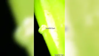 Brother In Law Fucking His Shy Sister In Law Behind Closed Doors