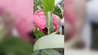 Village Slut Getting Pounded Behind The Fields After Dark