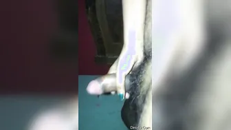 Telugu Couple Getting Naughty With Handjob And Dirty Talking