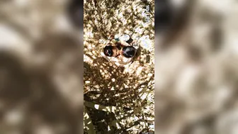 Mumbai GF Riding Me In The Park During Our Date Today