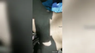 Petite GF Moaning Loud While Taking It Balls Deep