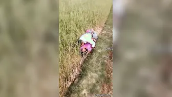 Village Lovers Caught Fucking Outdoors In The Fields This Evening