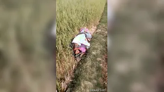 Village Lovers Caught Fucking Outdoors In The Fields This Evening
