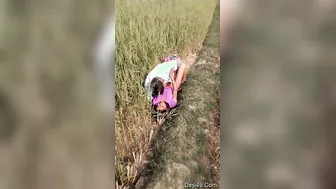 Village Lovers Caught Fucking Outdoors In The Fields This Evening