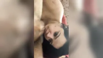 Busty Desi Babe Giving Incredible Head To Her Lucky BF