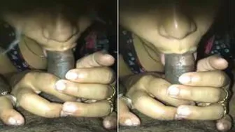 Needy Desi Wife Begging To Suck His Dick Until He Explodes