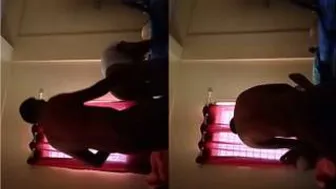 GF Screaming In Pleasure While Lover Fucks Her Deep