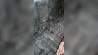 Girlfriend Standing While Her Man Thrusts Into Her From Behind