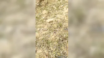 Standing Fuck With My Indian GF Against The Wall